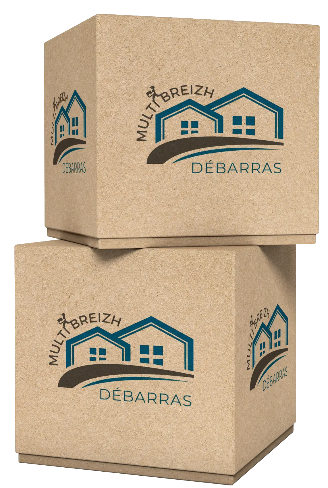 Cartons de débarras